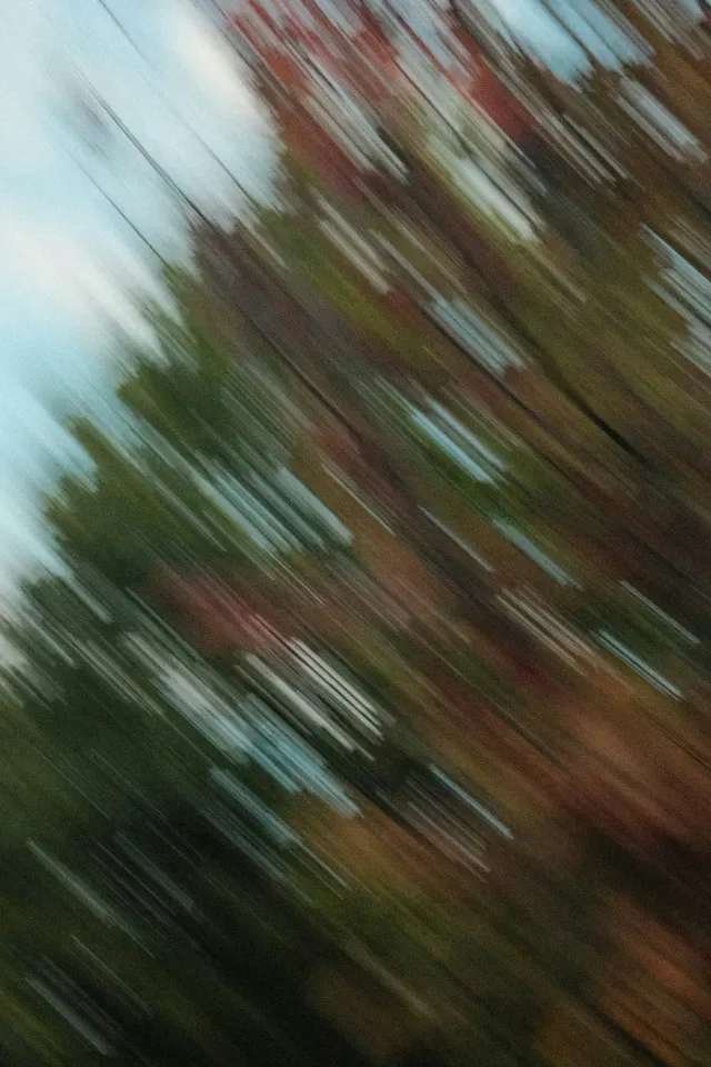 Blurred Nature