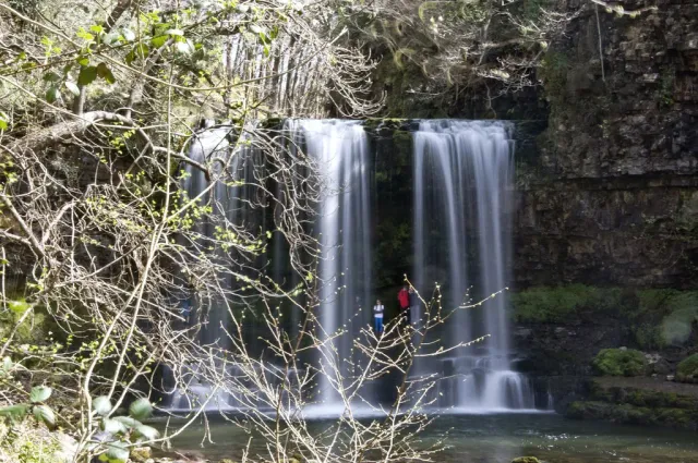 Sgwd yr Eira's wide curtain of falling water with walkers standing on the ledge behind it, framed by early spring branches